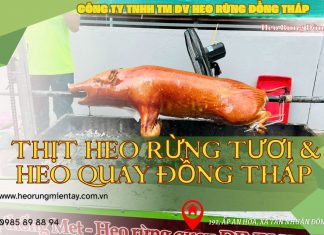 Thịt Heo Rừng Tươi & Heo Quay Heo Rừng Đồng Tháp thit-heo-rung-tuoi-heo quay-heo-rung-dong-thap